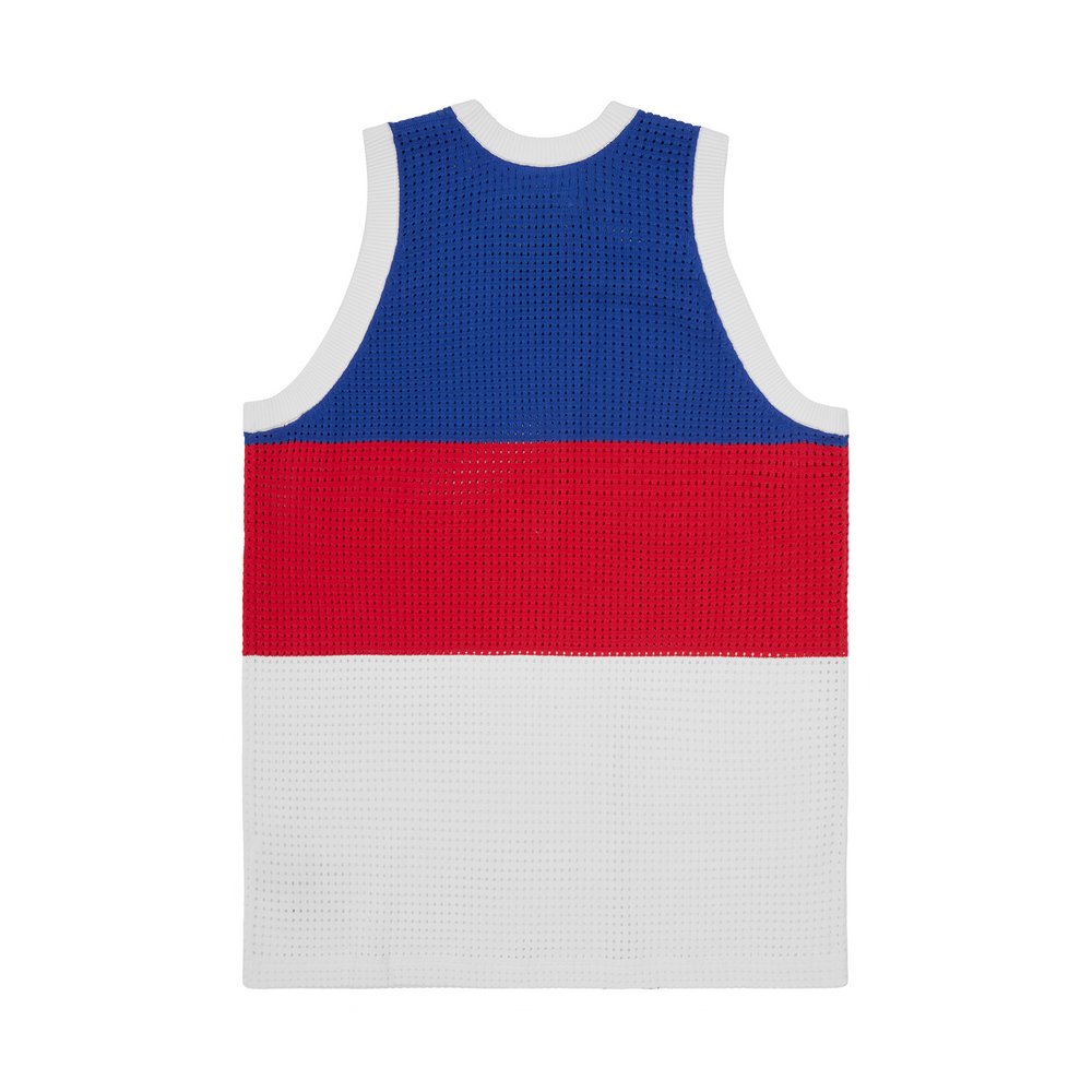 VICE MESH KNIT VEST [MULTI]
